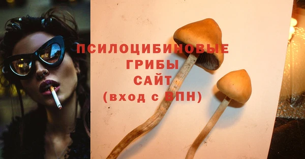 тгк Инсар