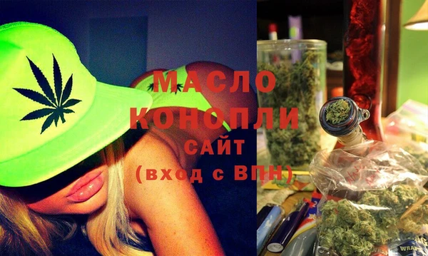 тгк Инсар