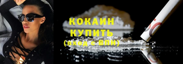 тгк Инсар