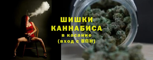 тгк Инсар