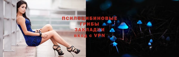 тгк Инсар