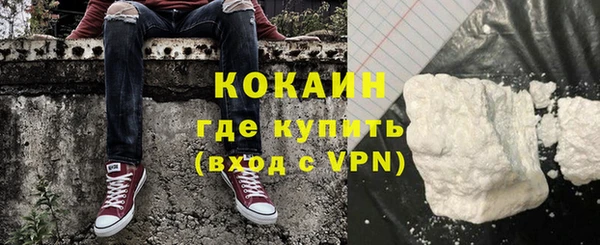 тгк Инсар