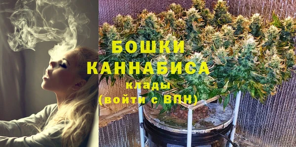 тгк Инсар