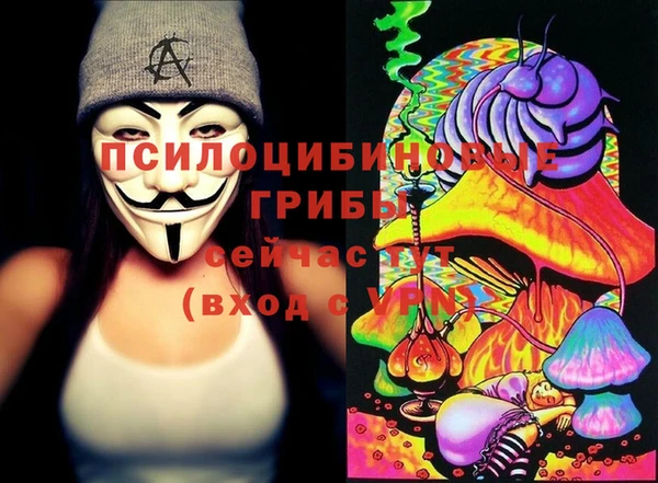 МДПВ Инта