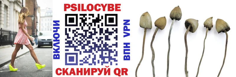 Купить где Усмань Галлюциногенные грибы ЛСД